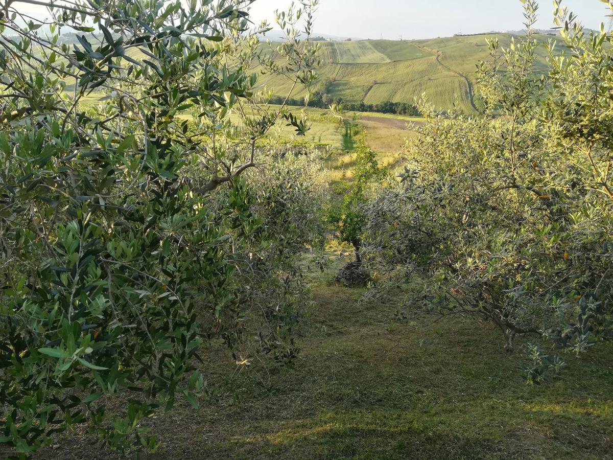 Agriturismo La Ruelle Villa Atessa Exteriör bild